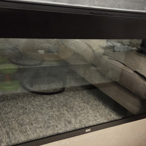 Aquarium à vendre – très bon état, idéal pour passionnés