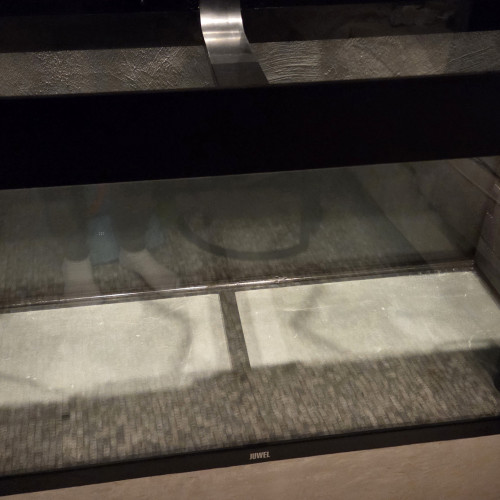 Aquarium à vendre – très bon état, idéal pour passionnés