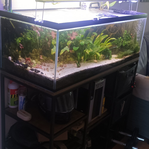 Aquarium complet