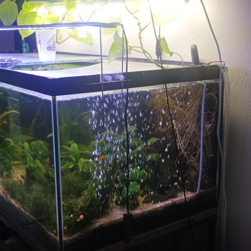 Aquarium complet