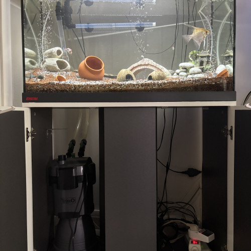 Ensemble complet Aquarium EHEIM 126L + Meuble