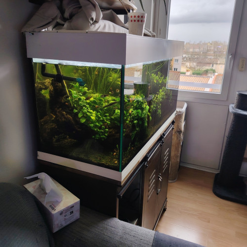 Aquarium complet