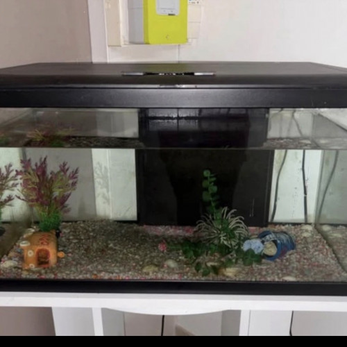 Aquarium de 58L