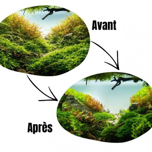 Pack d'outils "Essentiel" pour aquariums