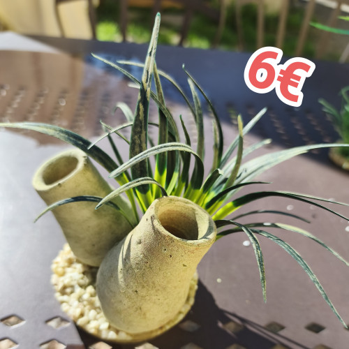 Décorations martificielles