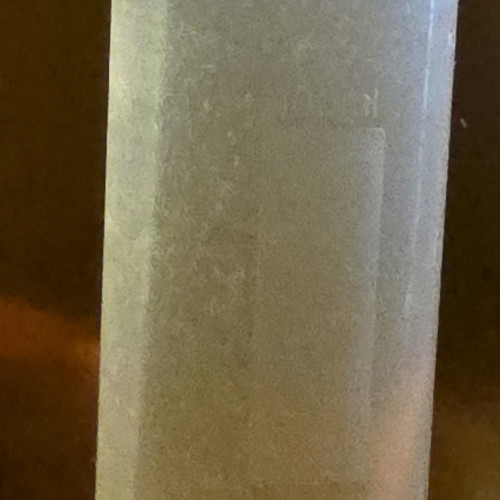 Souche Anguillules du Vinaigre BIO (Flacon 100ml / 80ml de culture)