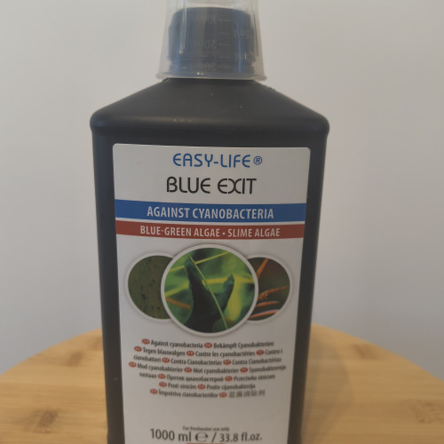 Easy life blue exit cyanobacterie