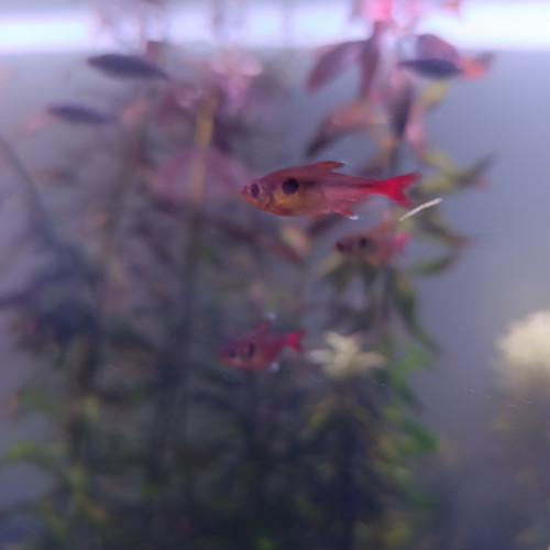 Recherche nouvelle maison pour mon vivant