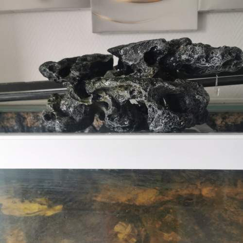 Belles Roches pour aquarium