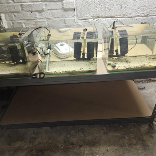 Batteries aquarium
