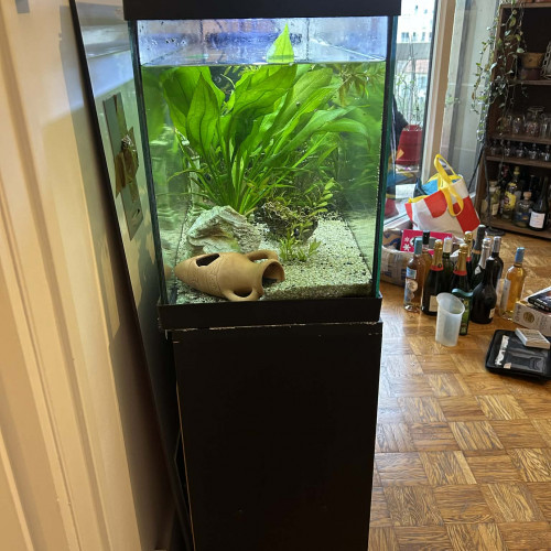 Aquarium 100 L Zolux