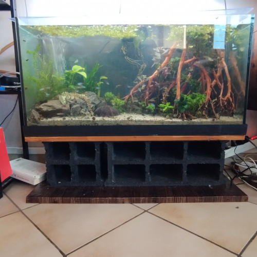 Aquarium 100l