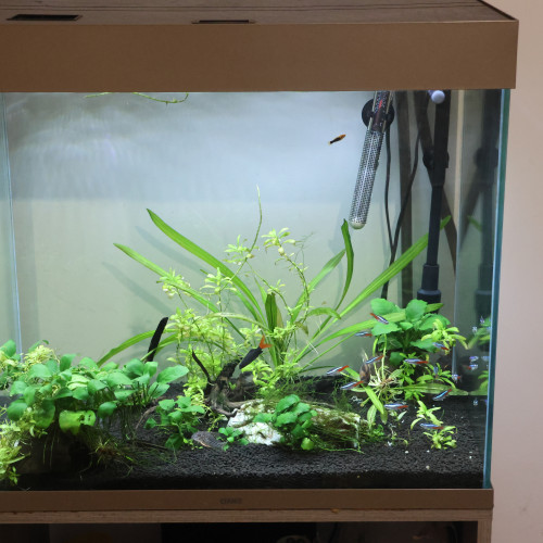 Aquarium 110 Litres