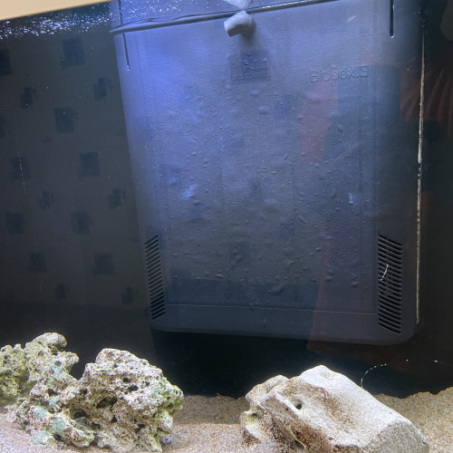 Aquarium et meuble blanc CIANO 240 litres