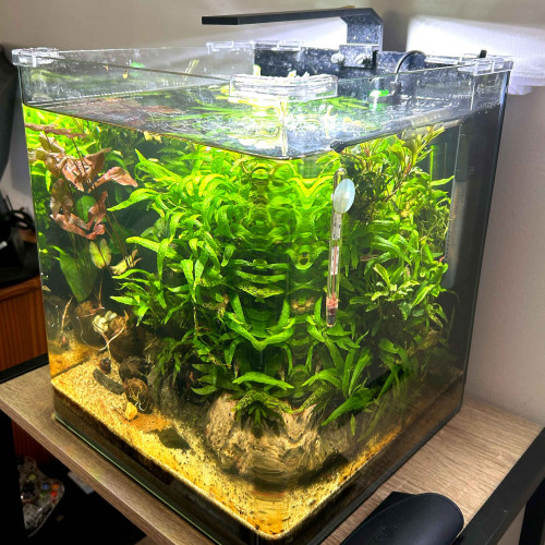 Nanocube Dennerle 30l coins arrondis