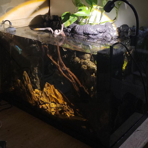 Aquarium 35l équipé