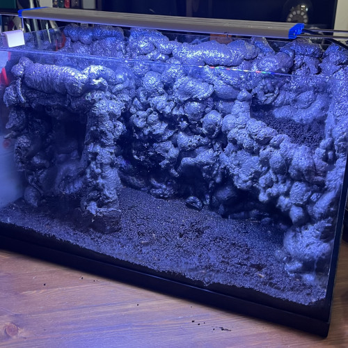 Aquarium 35l équipé