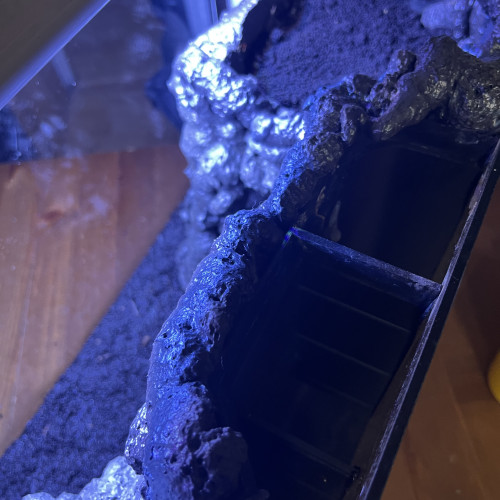 Aquarium 35l équipé