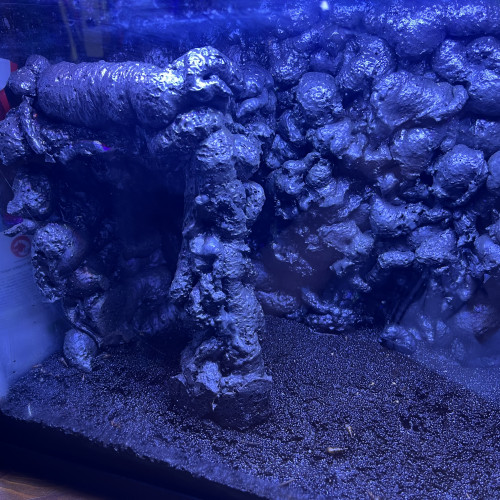 Aquarium 35l équipé