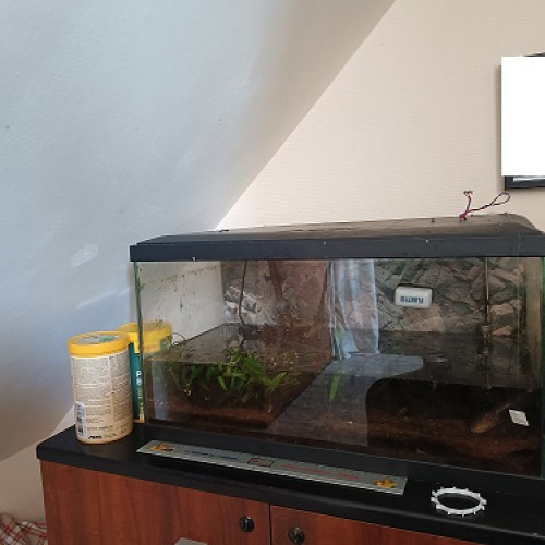 A Vendre cause Déménagement