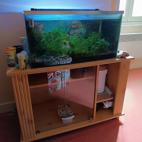 A Vendre cause Déménagement