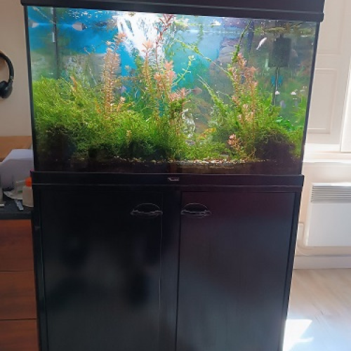 A Vendre cause Déménagement