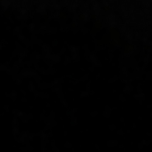 Recherche aquarium gratuit 300litre voir un peux moins