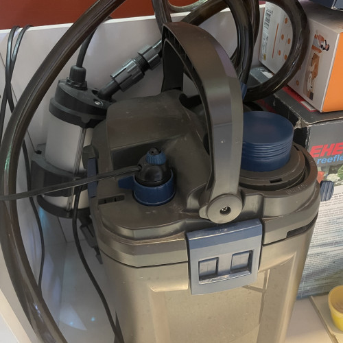 Aquarium 200L équipé complet avec poissons