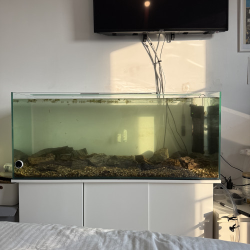Aquarium 240 litres