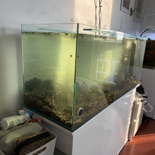Aquarium 240 litres
