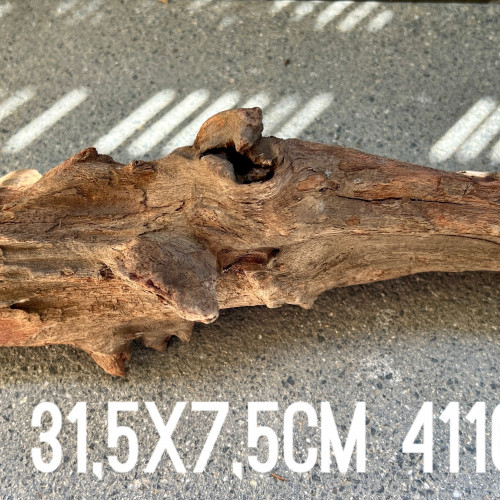 1 grande racine #2 31,5x7,5cm 411gr pour crevettes aquascaping poissons aquarium