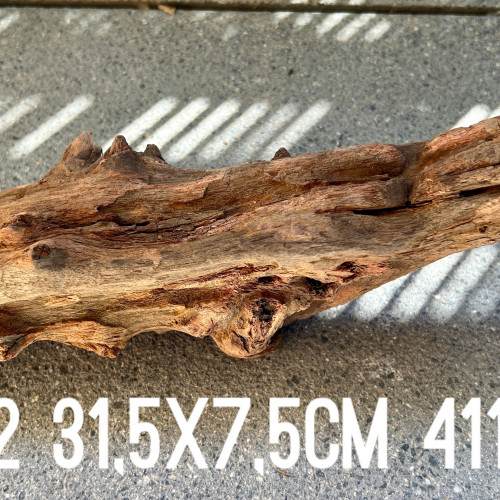 1 grande racine #2 31,5x7,5cm 411gr pour crevettes aquascaping poissons aquarium