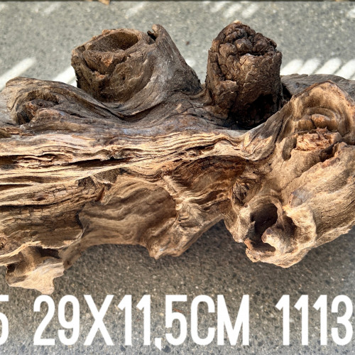 1 grande racine #5 29x11,5cm 1113gr pour crevettes aquascaping poissons aquarium