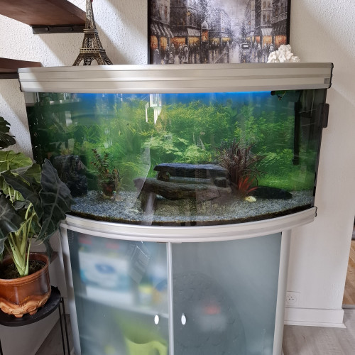 Aquarium 300l Aqualantis