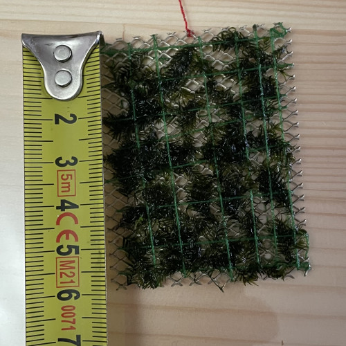 Fissidens fontanus (rare)