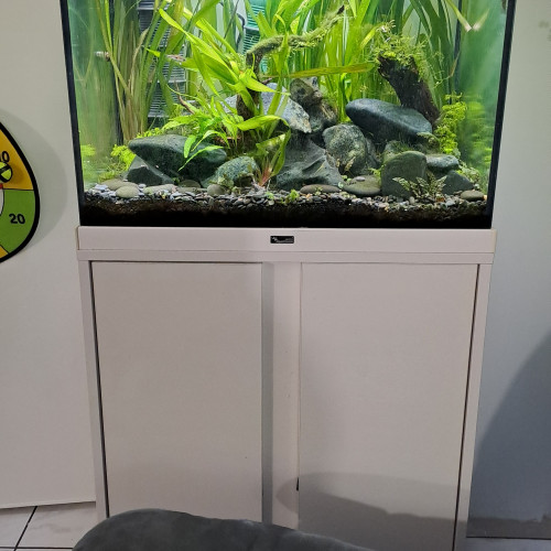 Aquatlantis élégance expert 60 (env. 100 litres net)