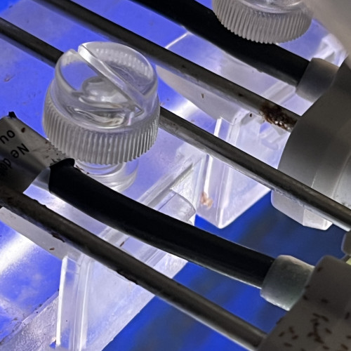 2 rampes d'éclairage LED Proten Freswater 150 avec support