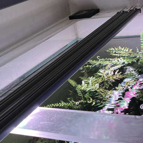 2 rampes d'éclairage LED Proten Freswater 150 avec support