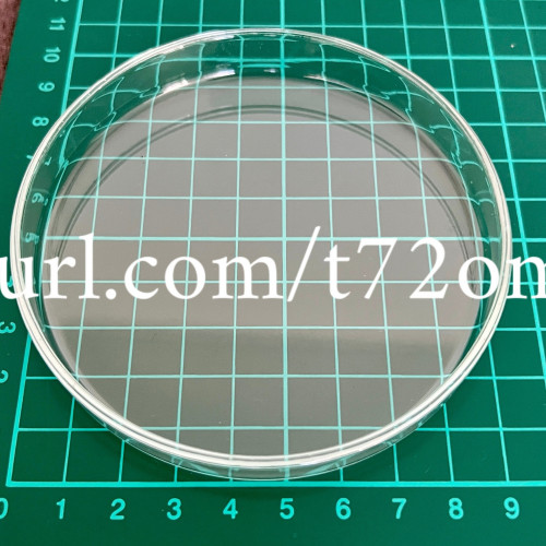 1 coupelle de nourriture en verre 100mm x 15mm pour crevettes poissons aquarium