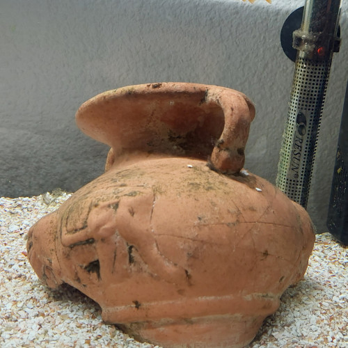 Aquarium complet 80 l avec poissons