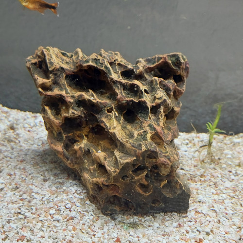 Aquarium complet 80 l avec poissons