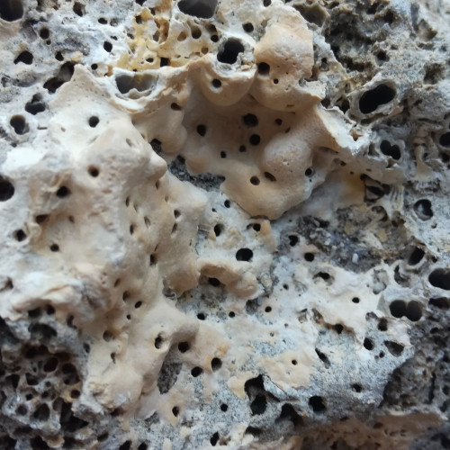 Pierres pour aquarium récifal et eau de mer