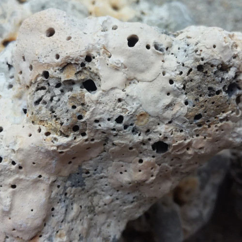 Pierres pour aquarium récifal et eau de mer