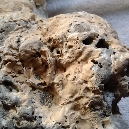 Pierres pour aquarium récifal et eau de mer