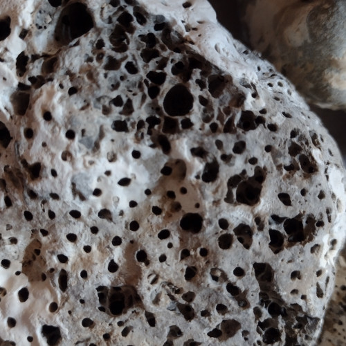 Pierres pour aquarium récifal et eau de mer