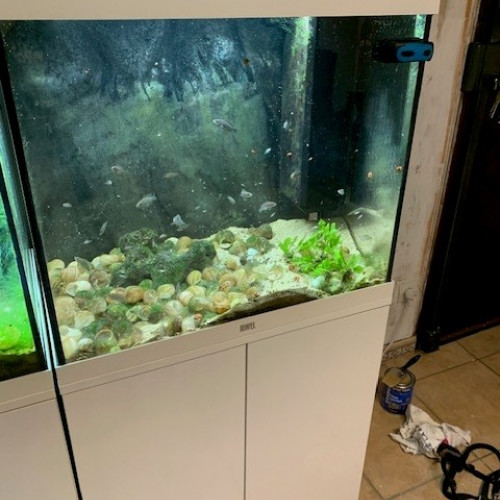 Juwel Lido 120 complet avec poissons