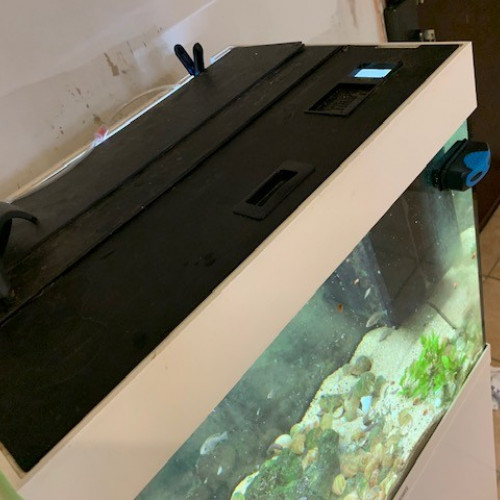 Juwel Lido 120 complet avec poissons