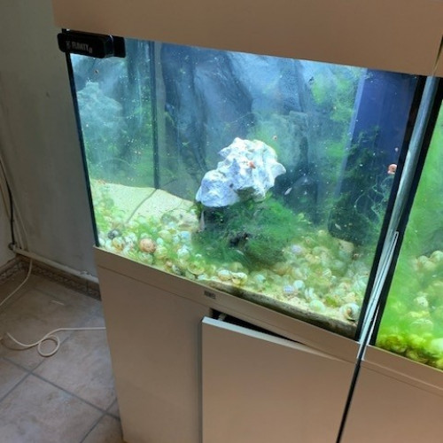 Juwel Lido 120 complet avec poissons