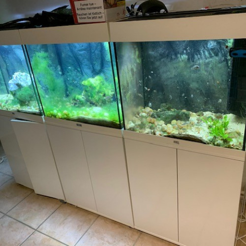 Juwel Lido 120 complet avec poissons
