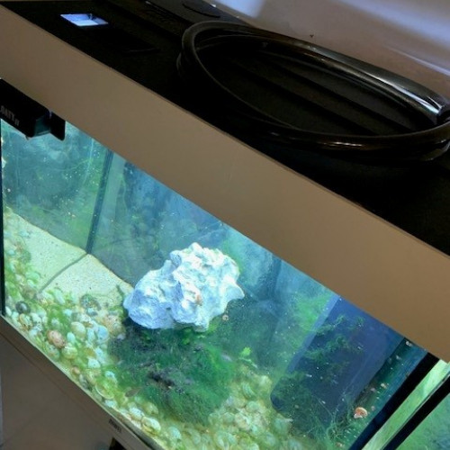 Juwel Lido 120 complet avec poissons